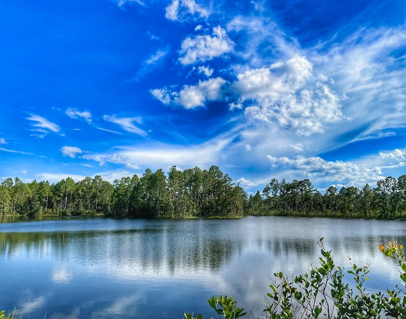 Split Oak Forest Wildlife and Environmental Area
