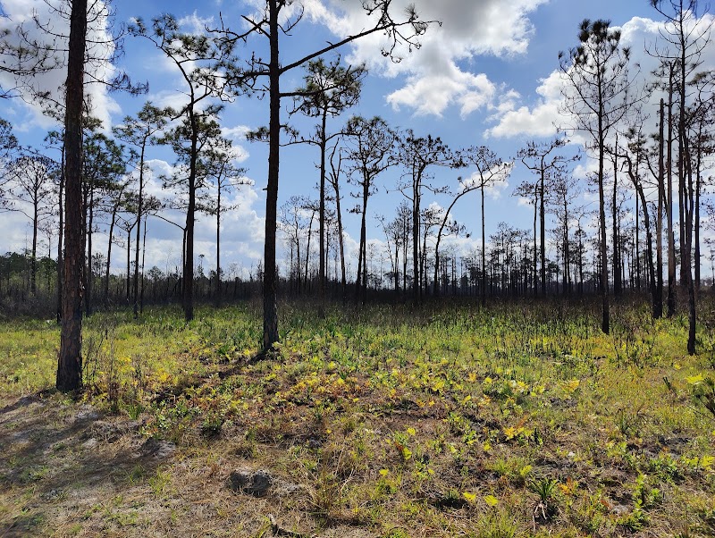 Split Oak Forest Wildlife and Environmental Area