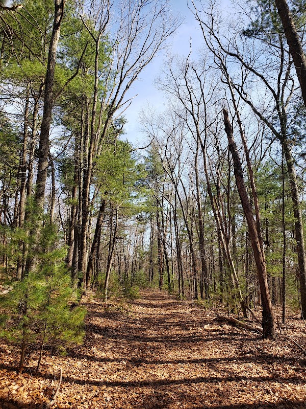 Snake Den State Park Trailhead Parking
