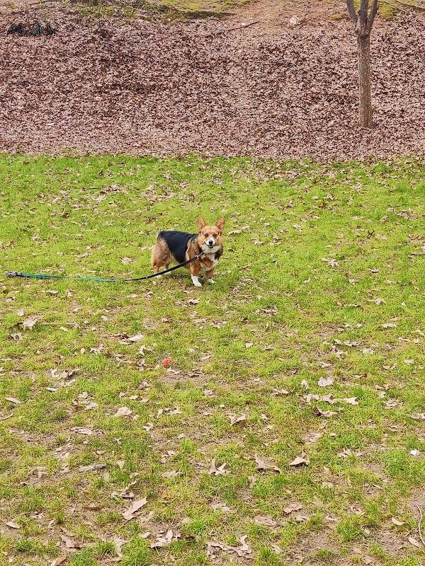 Sunken Garden Park