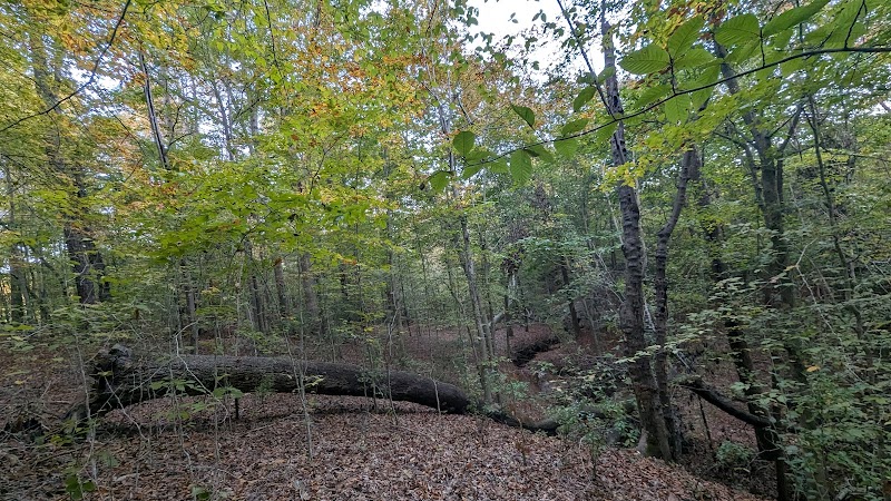 Creech Road Elementary School Park
