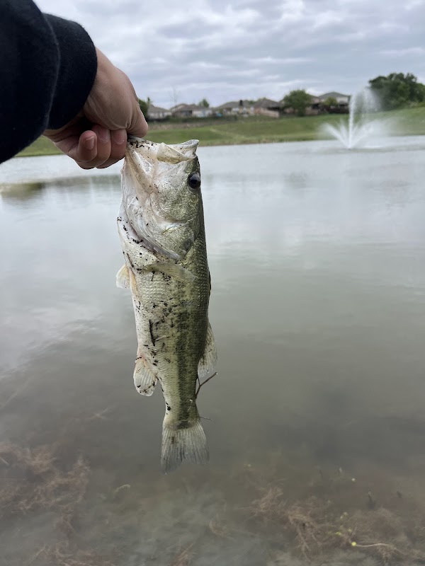 Stirling Bridge HOA Greenbelt
