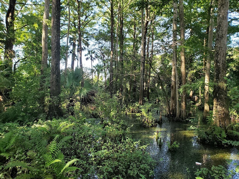 Shores Nature Trail Park