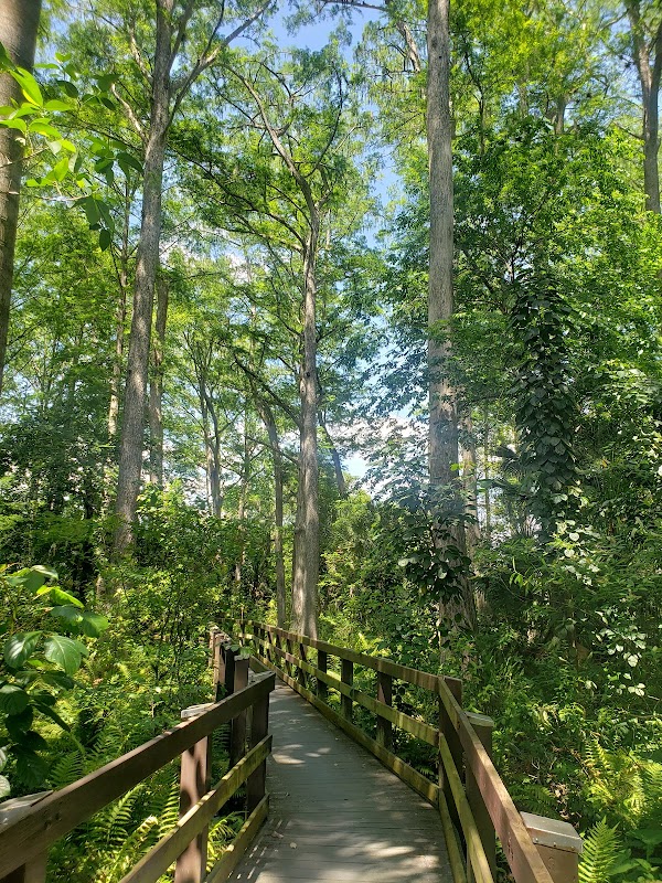 Shores Nature Trail Park