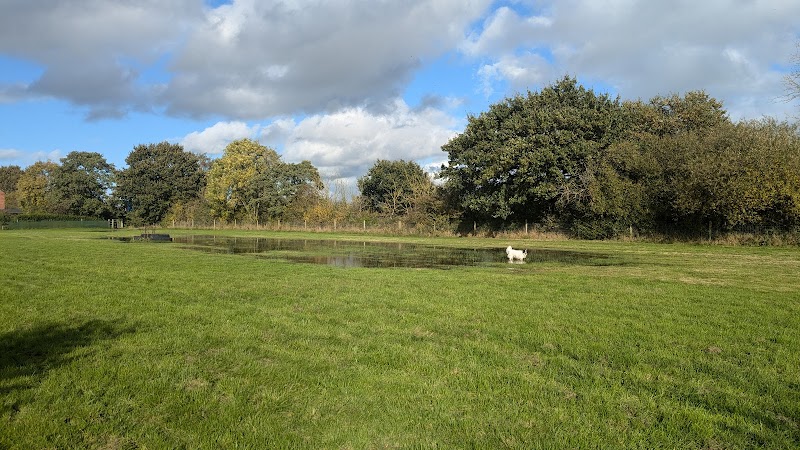 Shawbury Dog Field