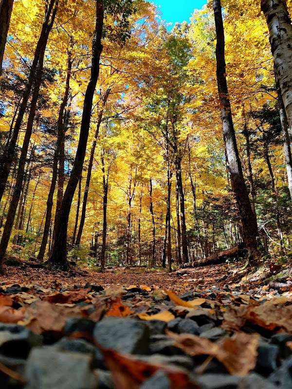 Talcott Mountain State Park