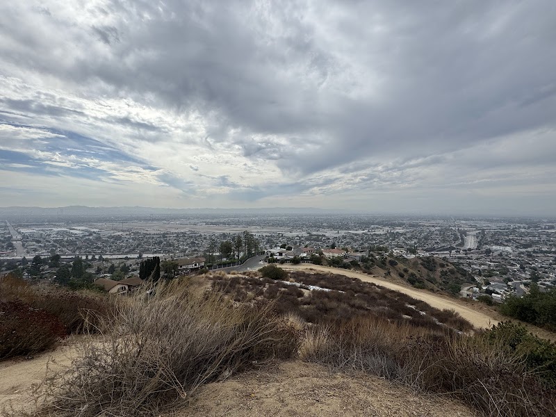 Olivia Terrace Walking Trail