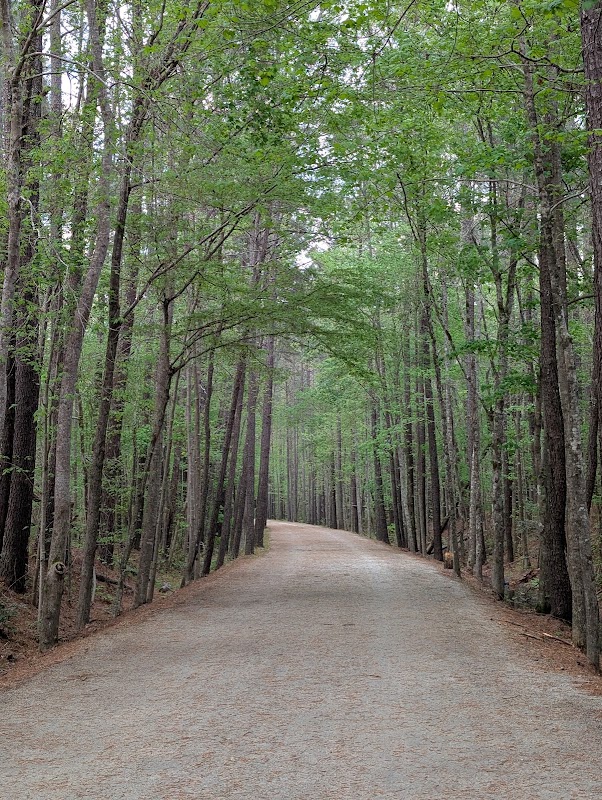 American Tobacco Trail - New Hill Olive Chapel Access