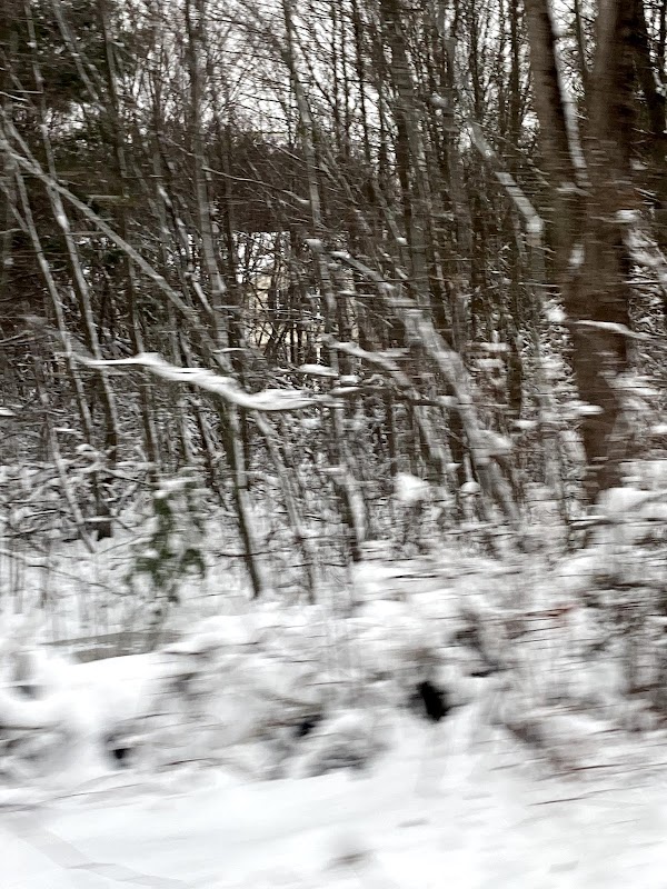 Medeiros Family Wildlife Preserve