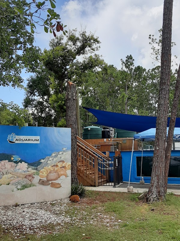 St. Augustine Aquarium