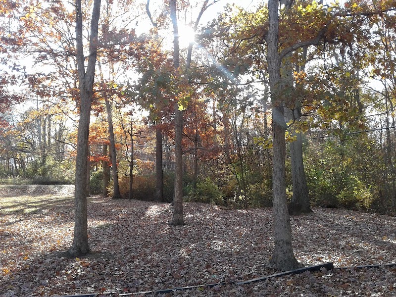 Erwin Drive Park