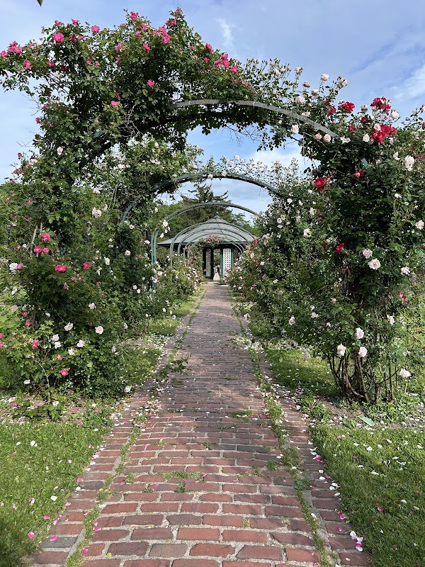 E.M. Mills Rose Garden