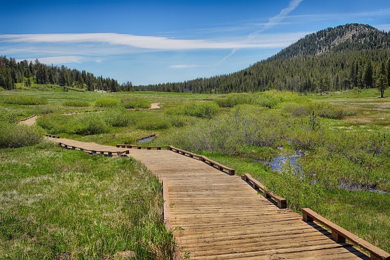Tahoe Meadows Ophir Creek Trailhead
