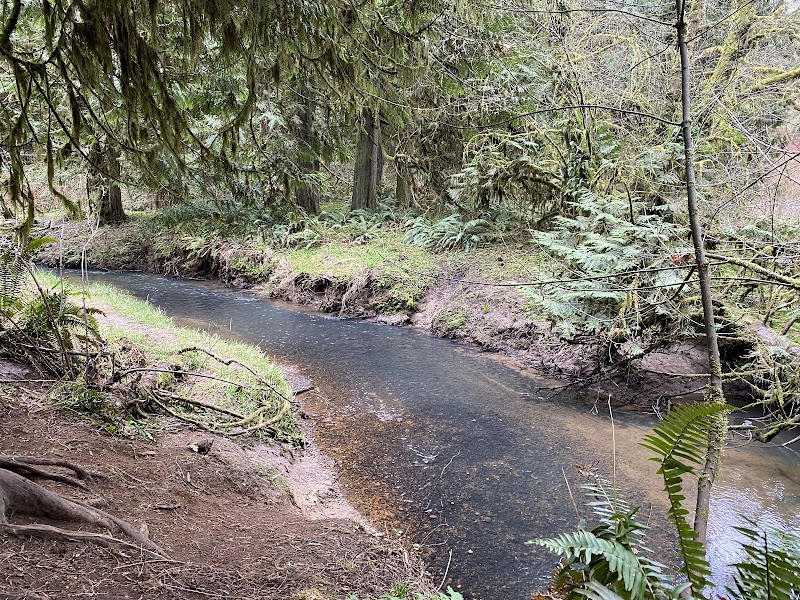 Salmon-Morgan Creeks Natural Area