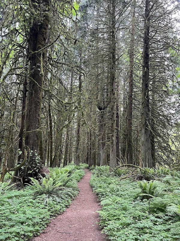 Salmon-Morgan Creeks Natural Area