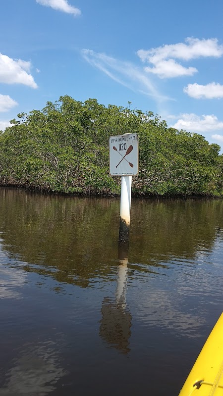 Upper Manatee River paddle path