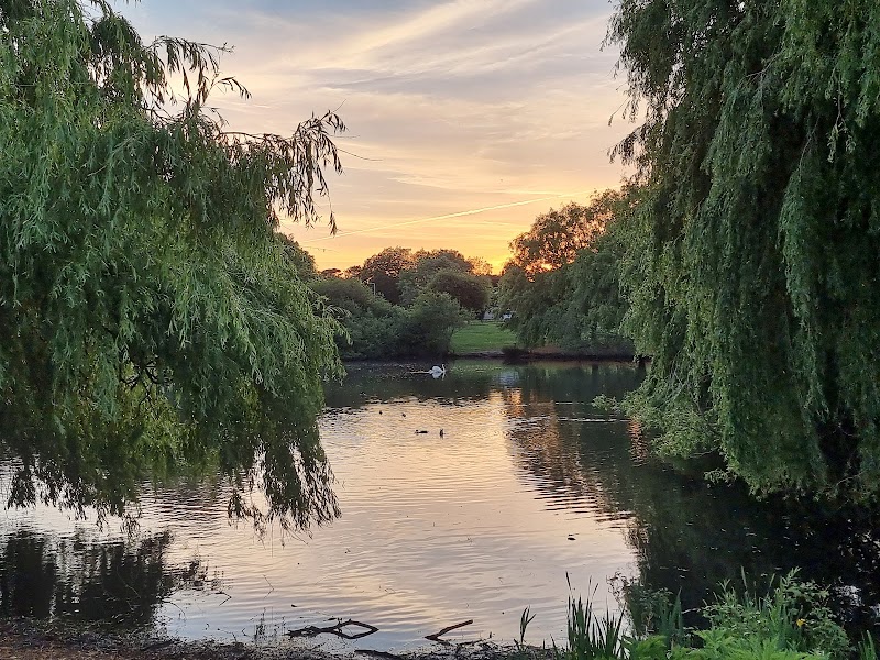 Platford Swan Pond