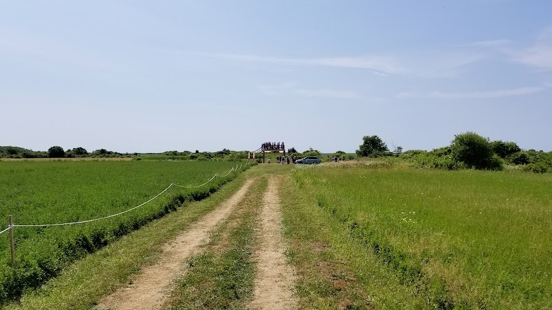 DNRT Ocean View Farm Reserve