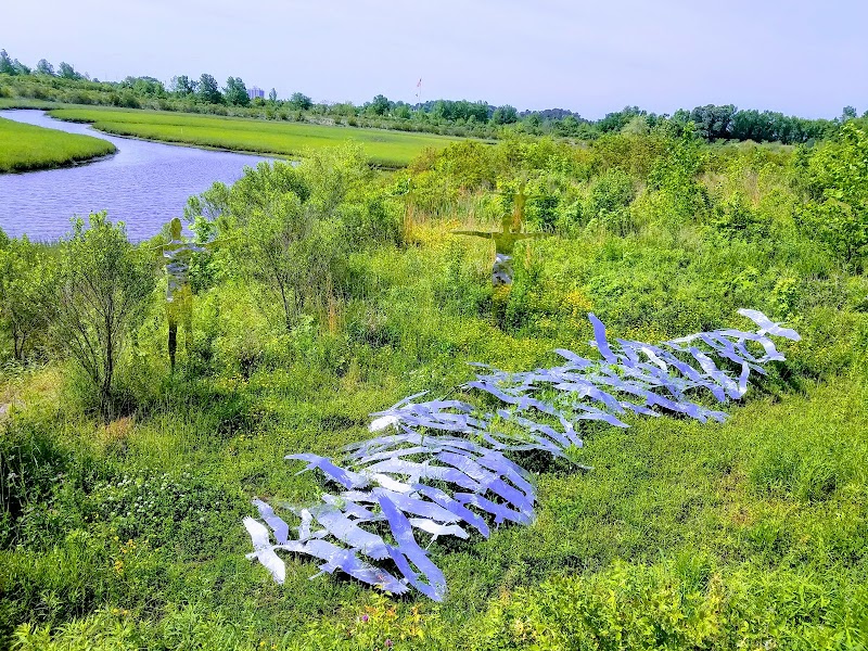 Paradise Creek Nature Park