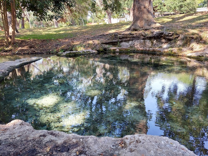 Purity Springs Park