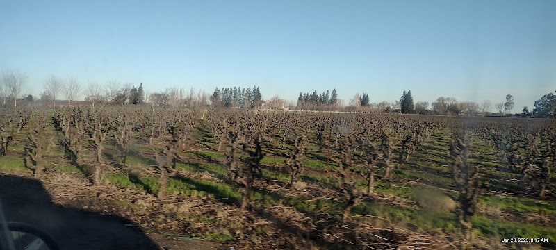 Housley's Century Oak Winery