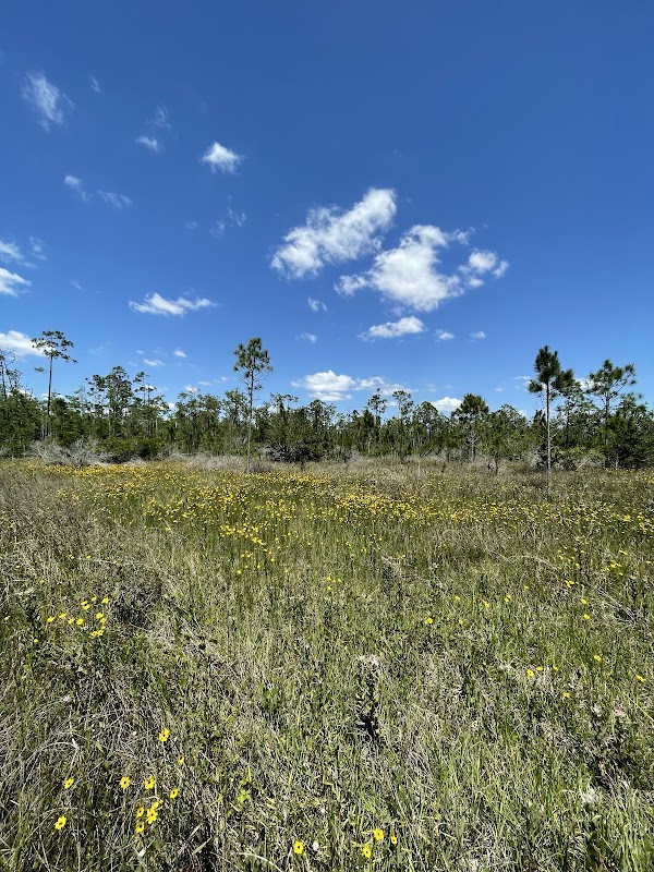 Six Mile Cypress Park Addition