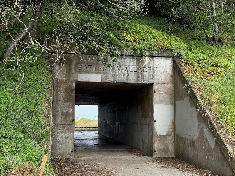 Battery Wallace