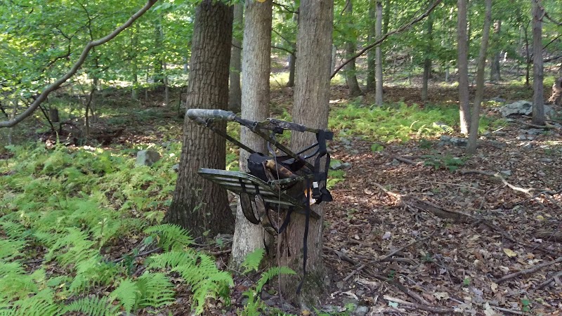 William B. Honachefsky Memorial Tract (64 Acres)