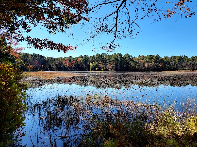 Cranberry Bog Nature Preserve