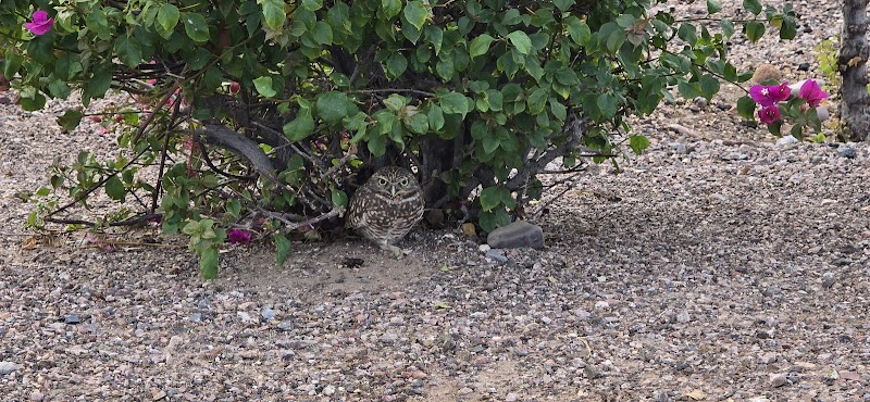 Riverwalk Villages Park