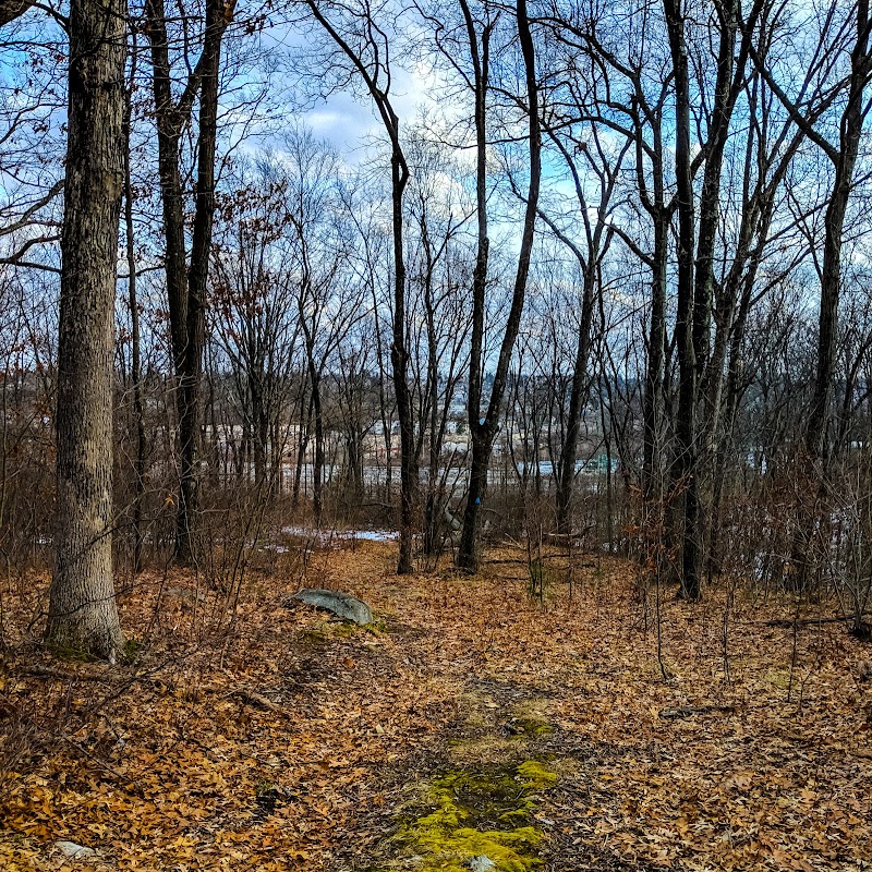 Bovenzi Conservation Park