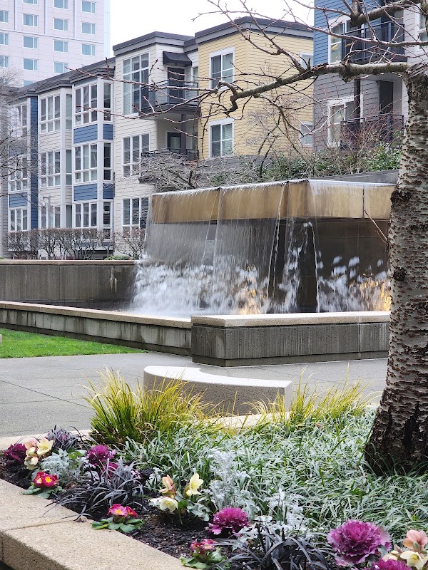 Bellevue Hidden Waterfall Park Lunch Spot