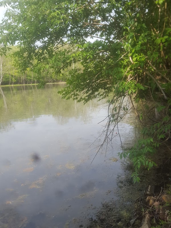 Fall Creek Parkway Preserve