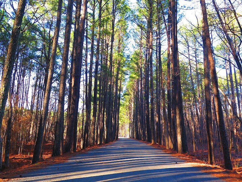 American Tobacco Trail O'Kelly Chapel Road Parking Area