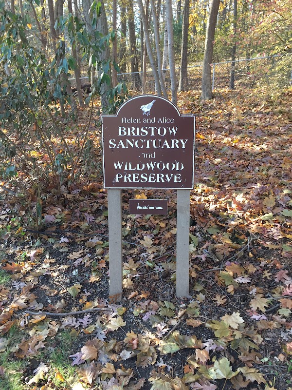Bristow Sanctuary & Wildwood Preserve