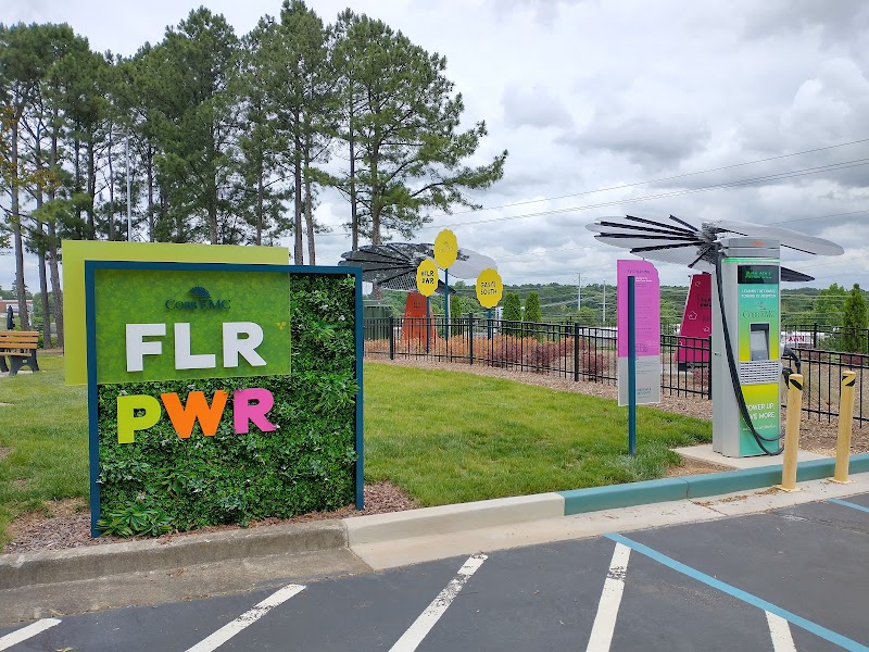 Solar Flower Garden