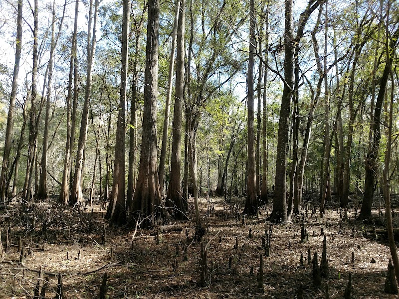 Lower Hillsborough Wildlife Management Area