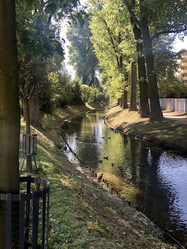 Grzegorz Ciechowski Square