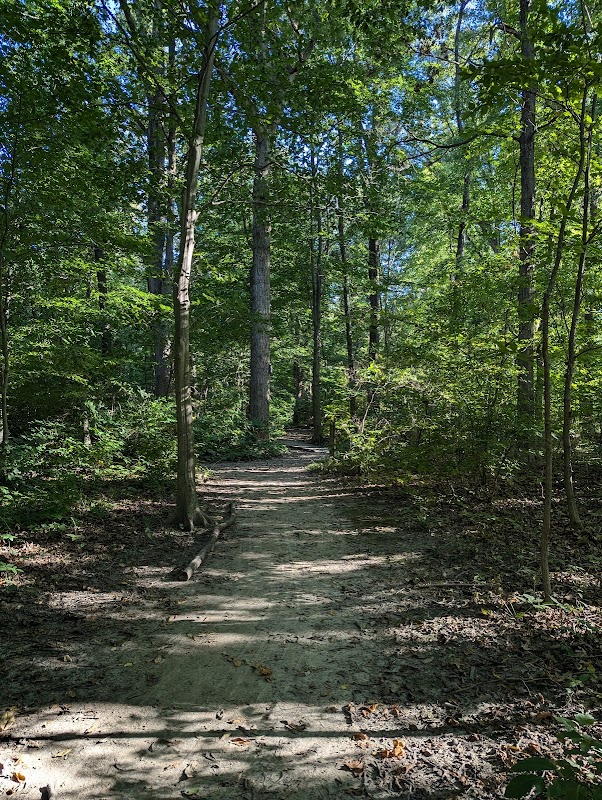 Hoosier Woods North Trailhead