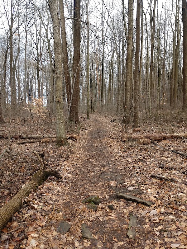 Natural Lands' Sadsbury Woods Preserve