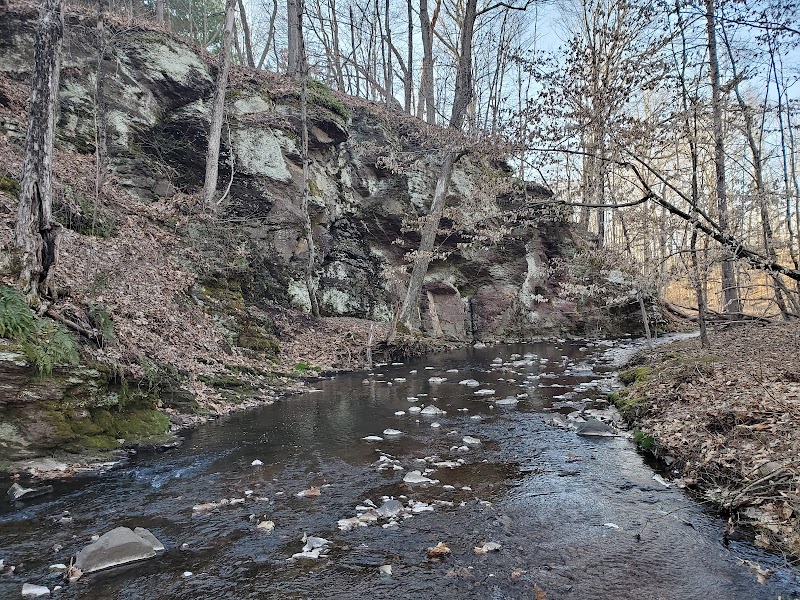 Brown trail crossing