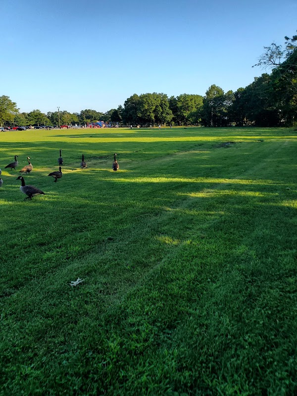 Roberto Clemente Park