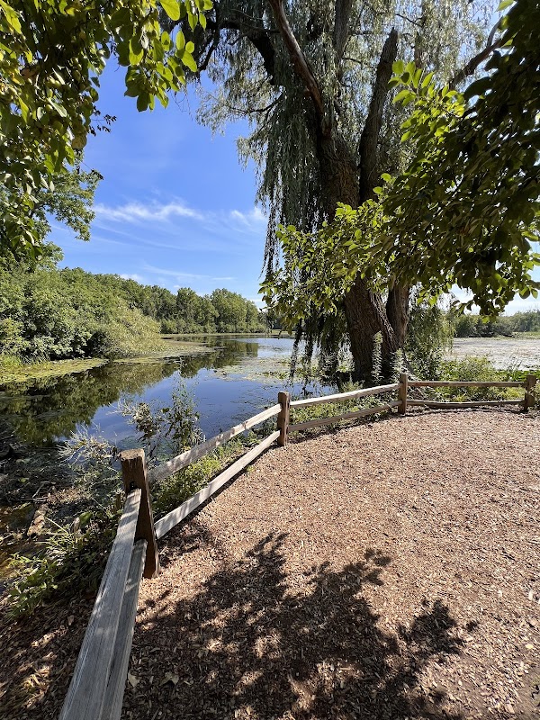 Water Fall Trail Start