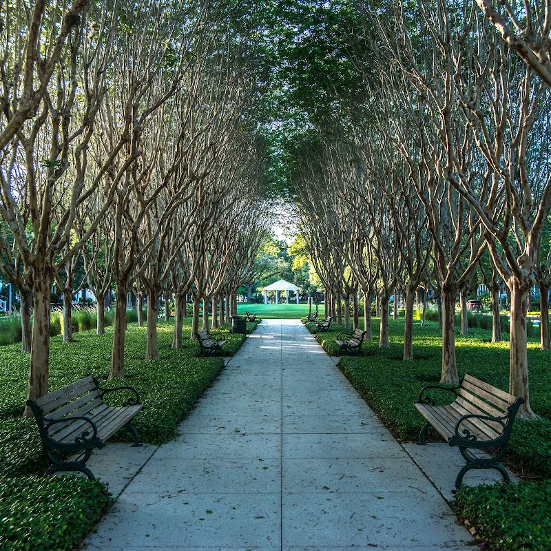 Savannah Square Celebration