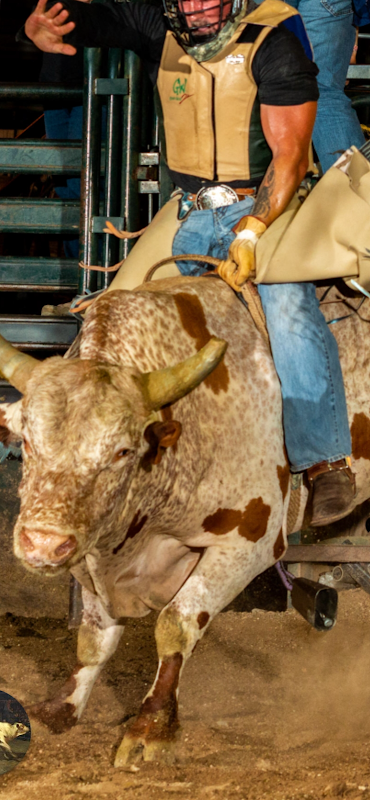 Thunder Rodeo Extreme Bucking Bulls Co.