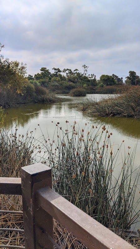Otay Valley/observation platform,Hollister pond