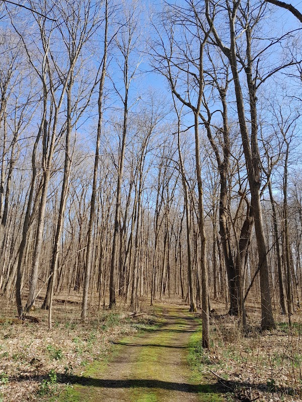 Lyon Oaks County Park