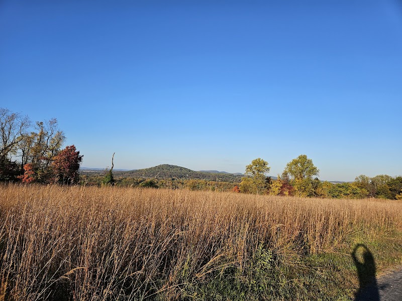 Schuylkill Highlands