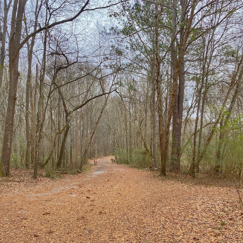 Cochran Shoals Trail - River Loop