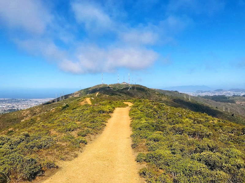 San Bruno Mountain State & County Park